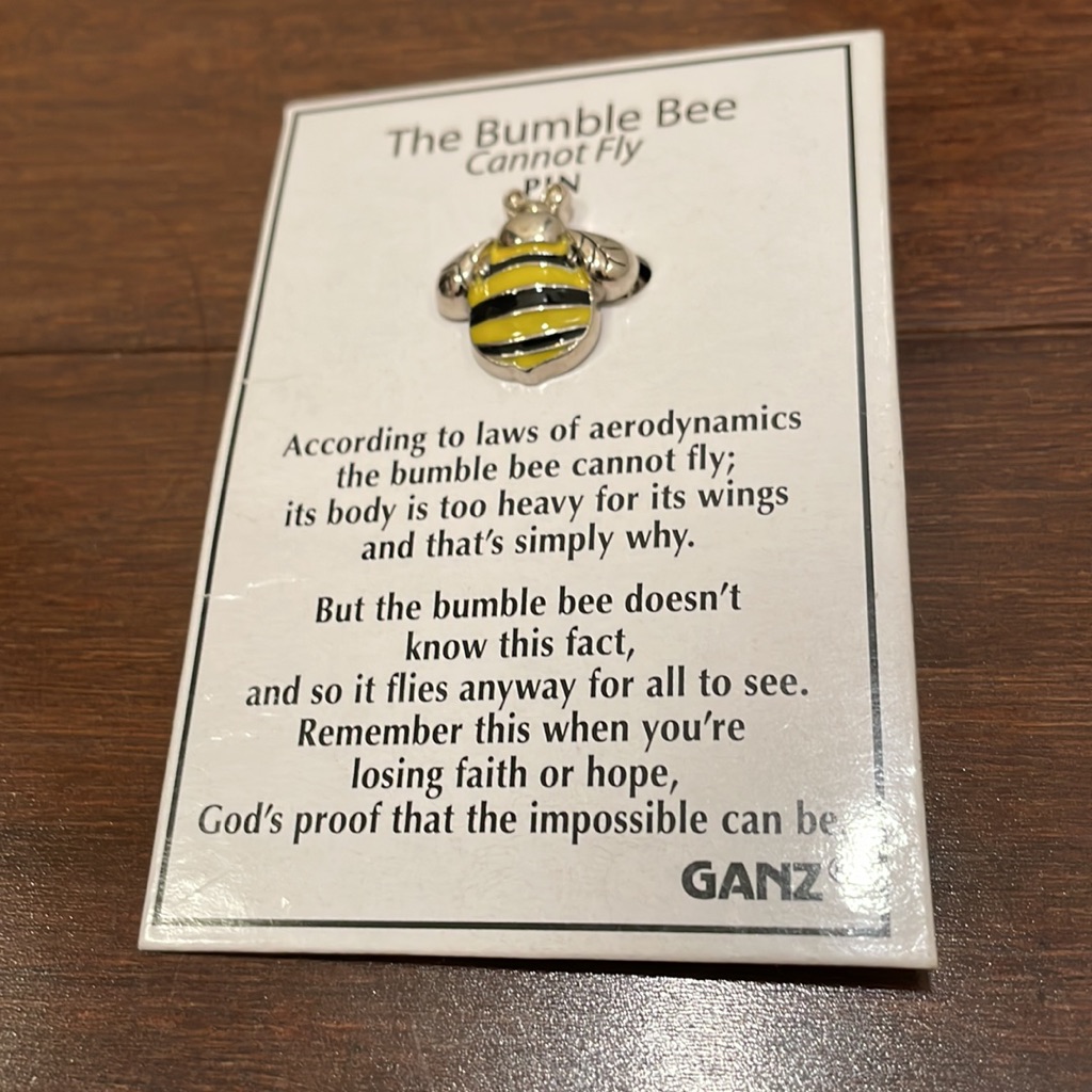 The Bubble Bee Cannot Fly Pin